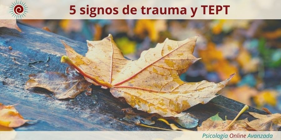 5 signos de trauma y TEPT - y cómo superarlos, Estrés, Meditación, Controlar el estrés, Ansiedad, Meditación, Terapia Online, Relajación